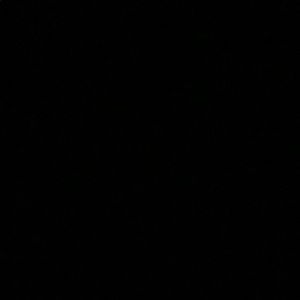 Meet your Posher, Jack